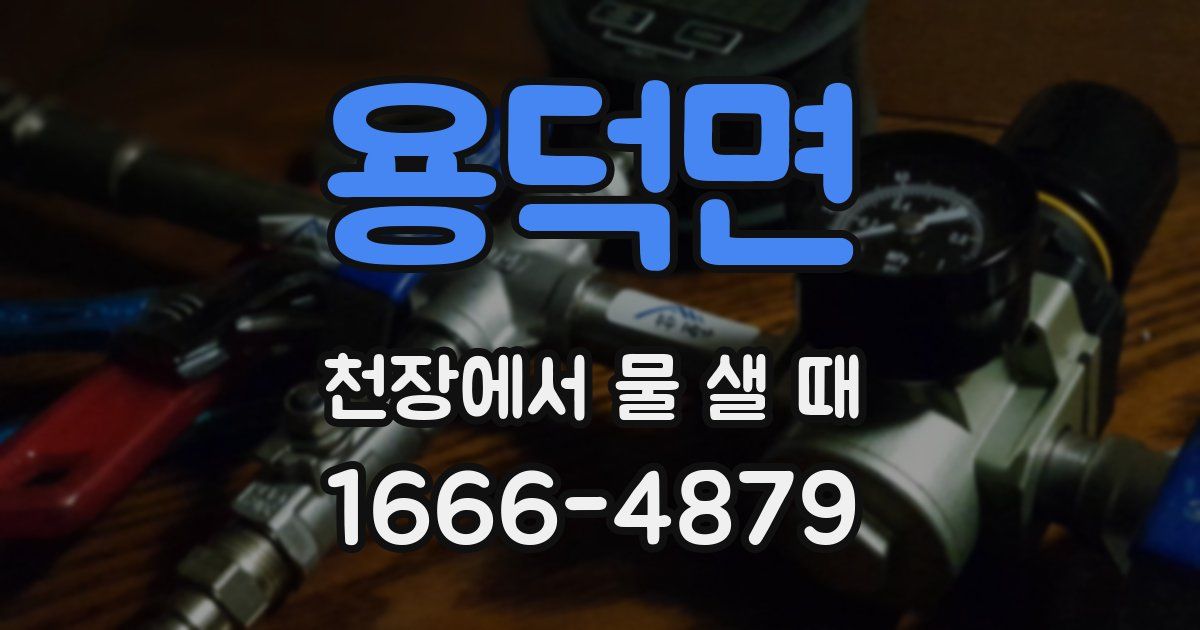 용덕면 천장에서 물 샐 때