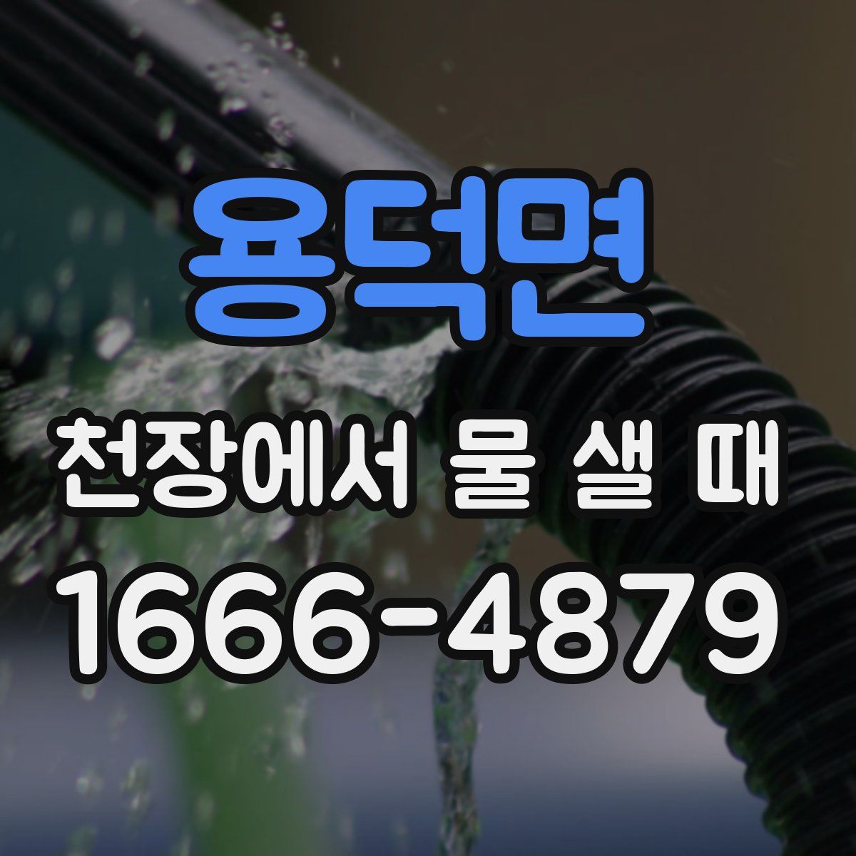 용덕면 천장에서 물 샐 때