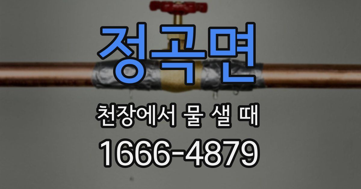 정곡면 천장에서 물 샐 때