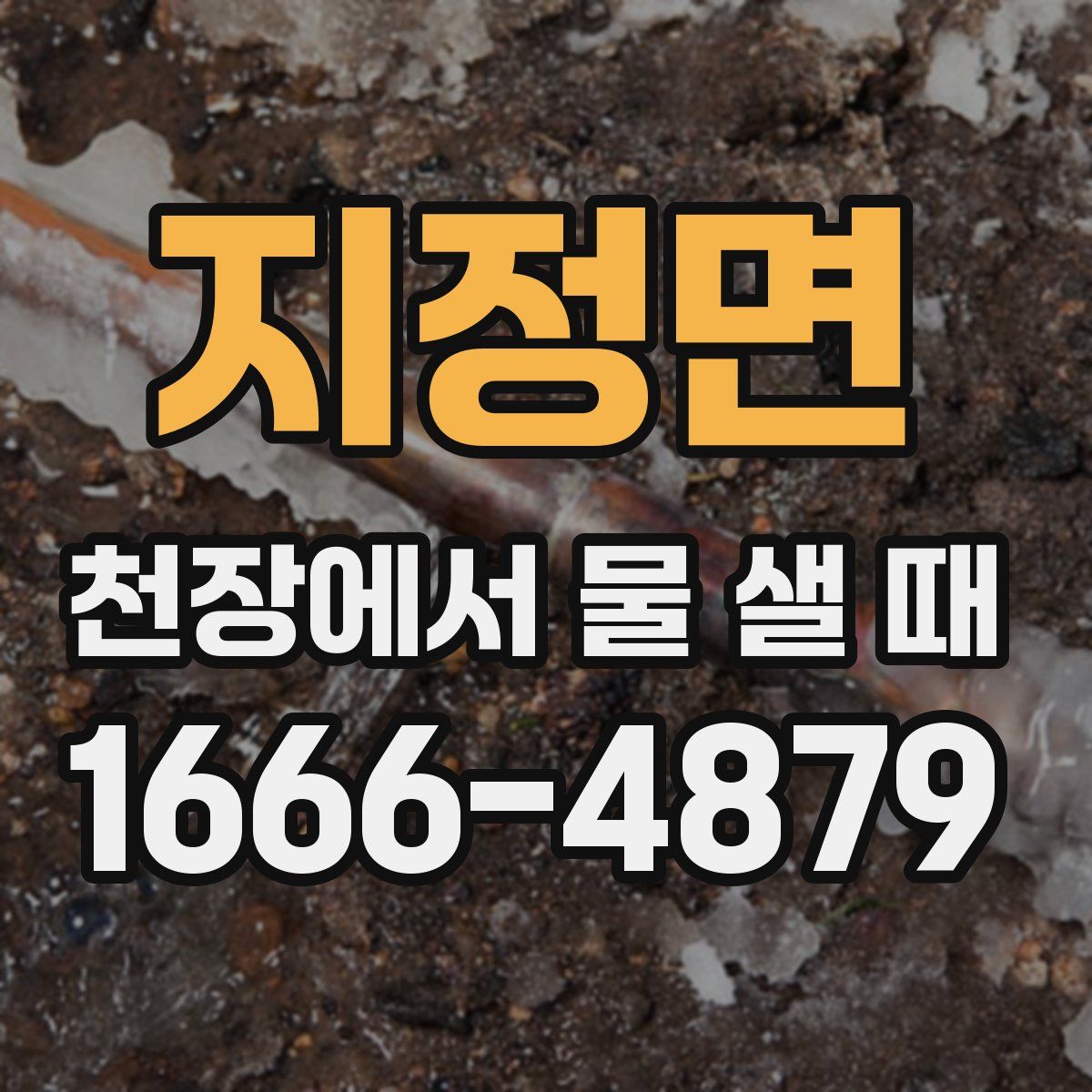 지정면 천장에서 물 샐 때