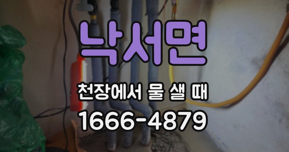 낙서면 천장에서 물 샐 때