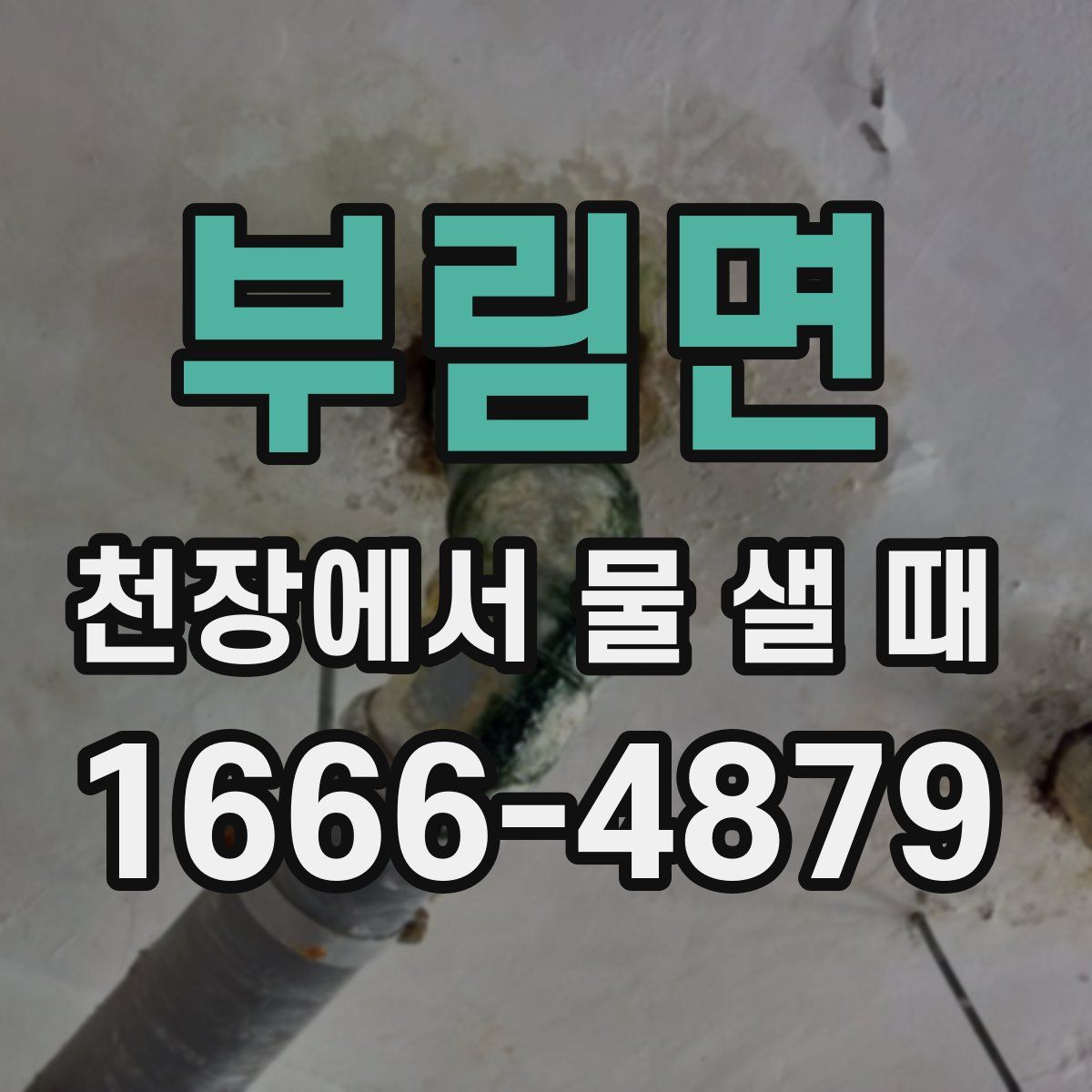 부림면 천장에서 물 샐 때