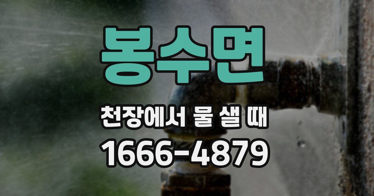 봉수면 천장에서 물 샐 때