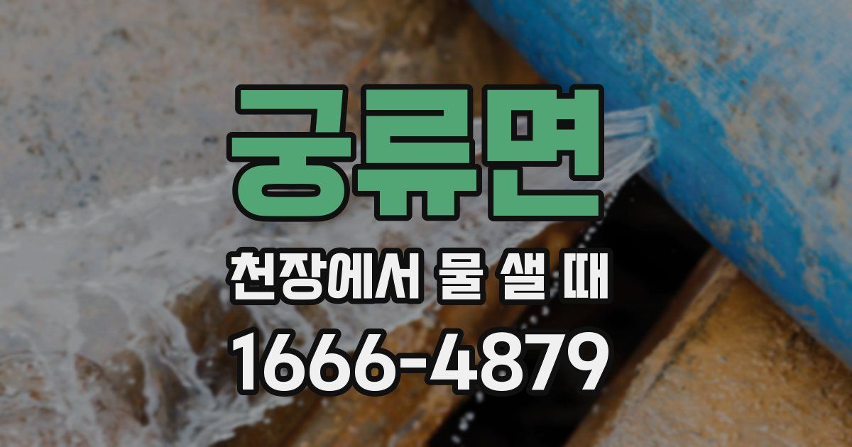 궁류면 천장에서 물 샐 때