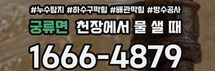 궁류면 천장에서 물 샐 때