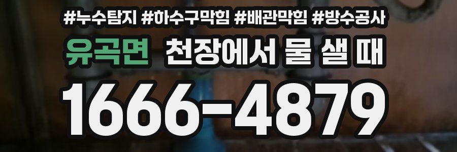 유곡면 천장에서 물 샐 때