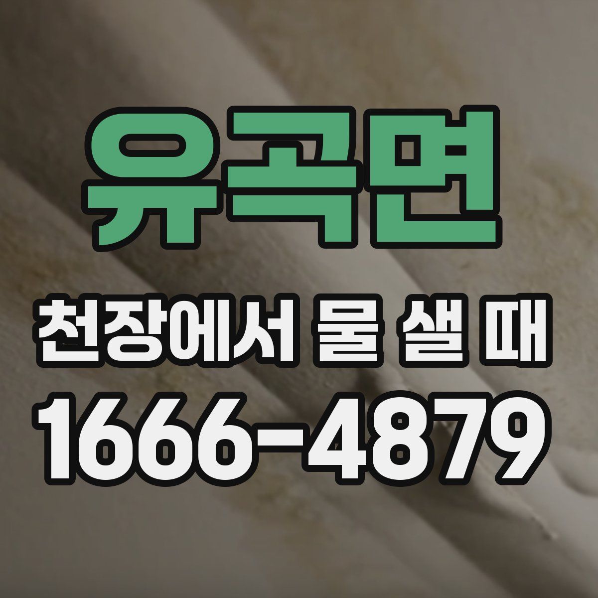 유곡면 천장에서 물 샐 때