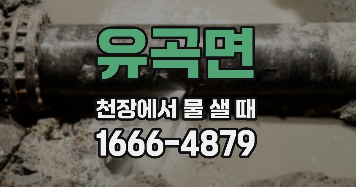 유곡면 천장에서 물 샐 때