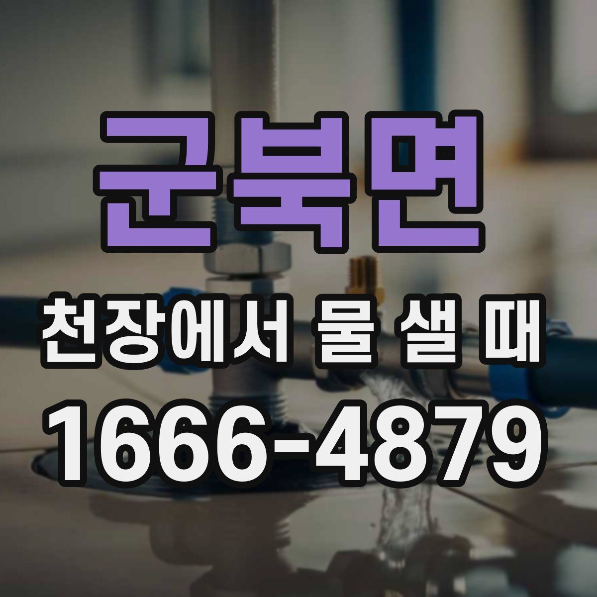 군북면 천장에서 물 샐 때
