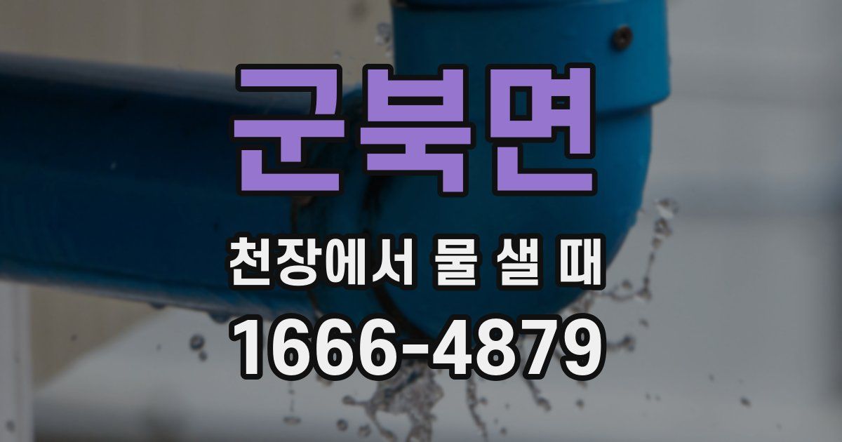 군북면 천장에서 물 샐 때