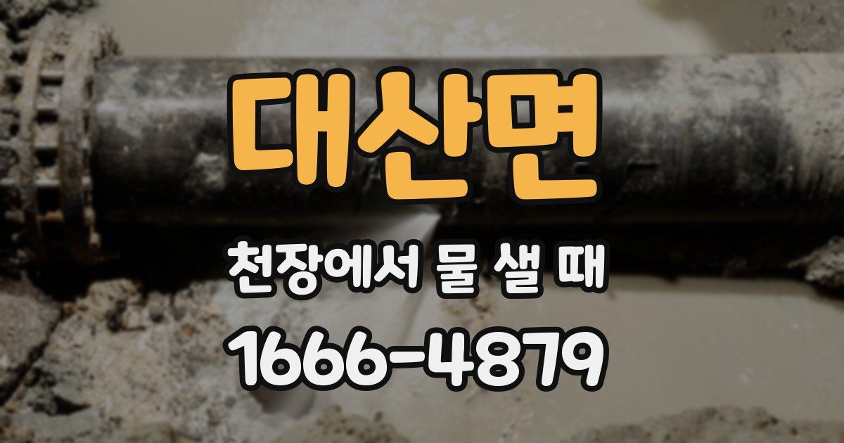 대산면 천장에서 물 샐 때