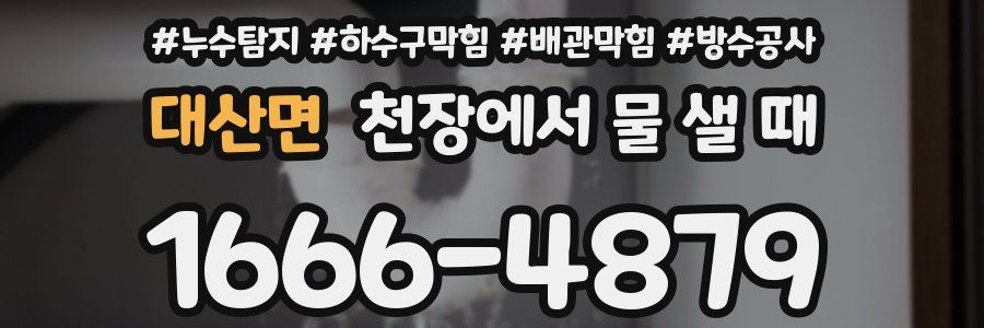 대산면 천장에서 물 샐 때
