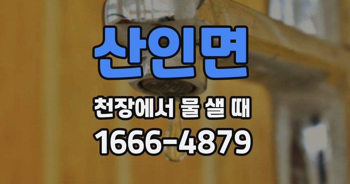 산인면 천장에서 물 샐 때