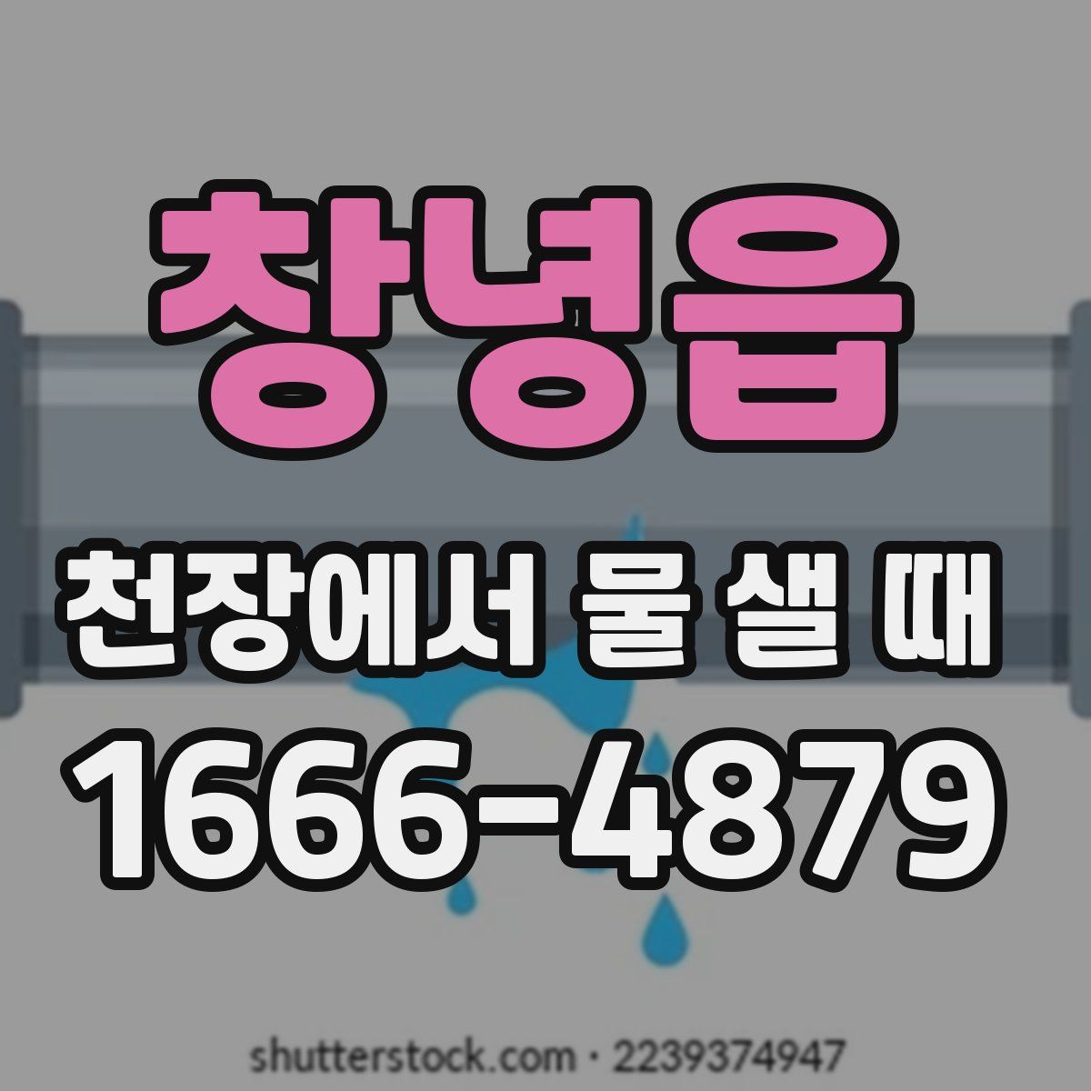창녕읍 천장에서 물 샐 때
