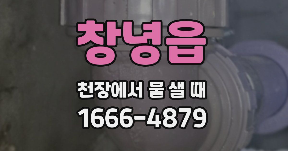 창녕읍 천장에서 물 샐 때