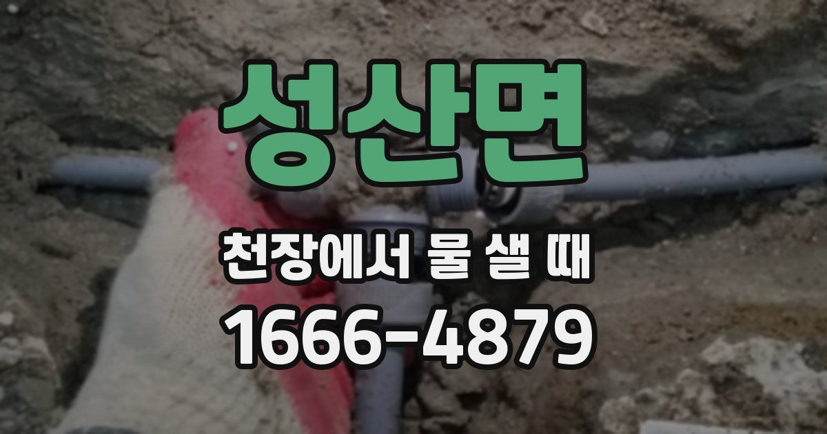 성산면 천장에서 물 샐 때