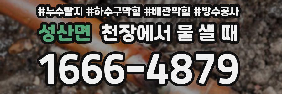 성산면 천장에서 물 샐 때