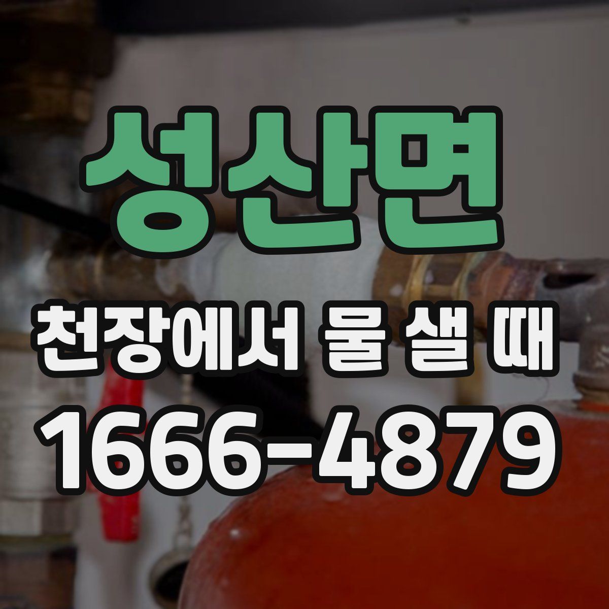 성산면 천장에서 물 샐 때