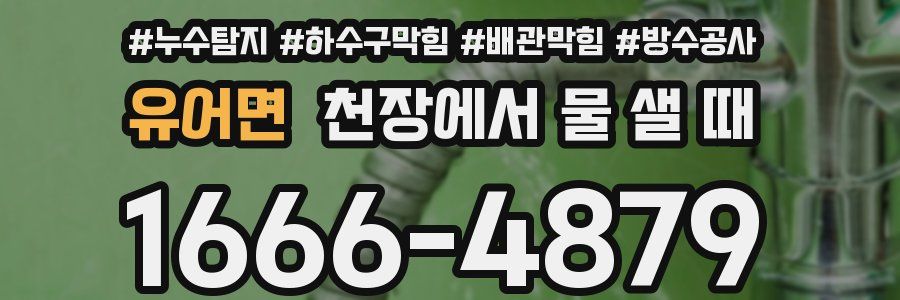 유어면 천장에서 물 샐 때