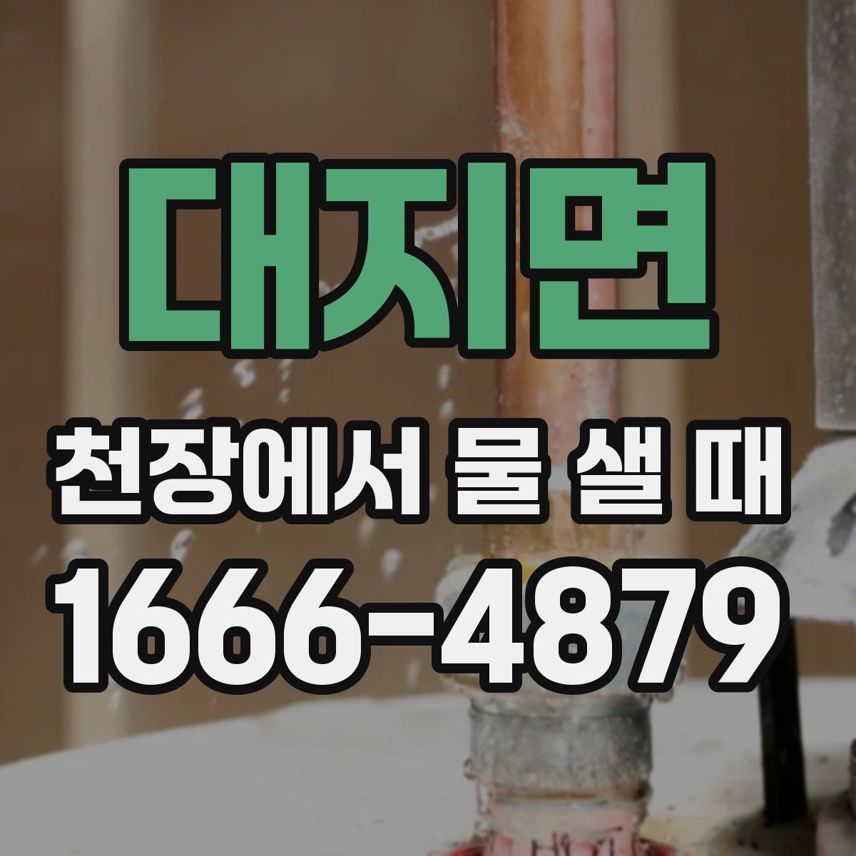 대지면 천장에서 물 샐 때