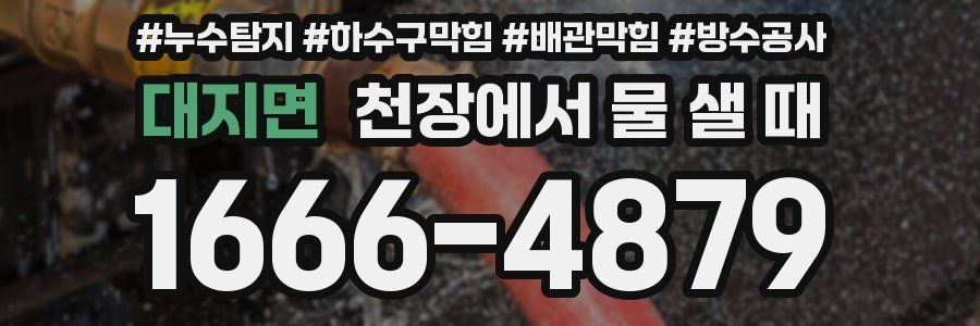 대지면 천장에서 물 샐 때
