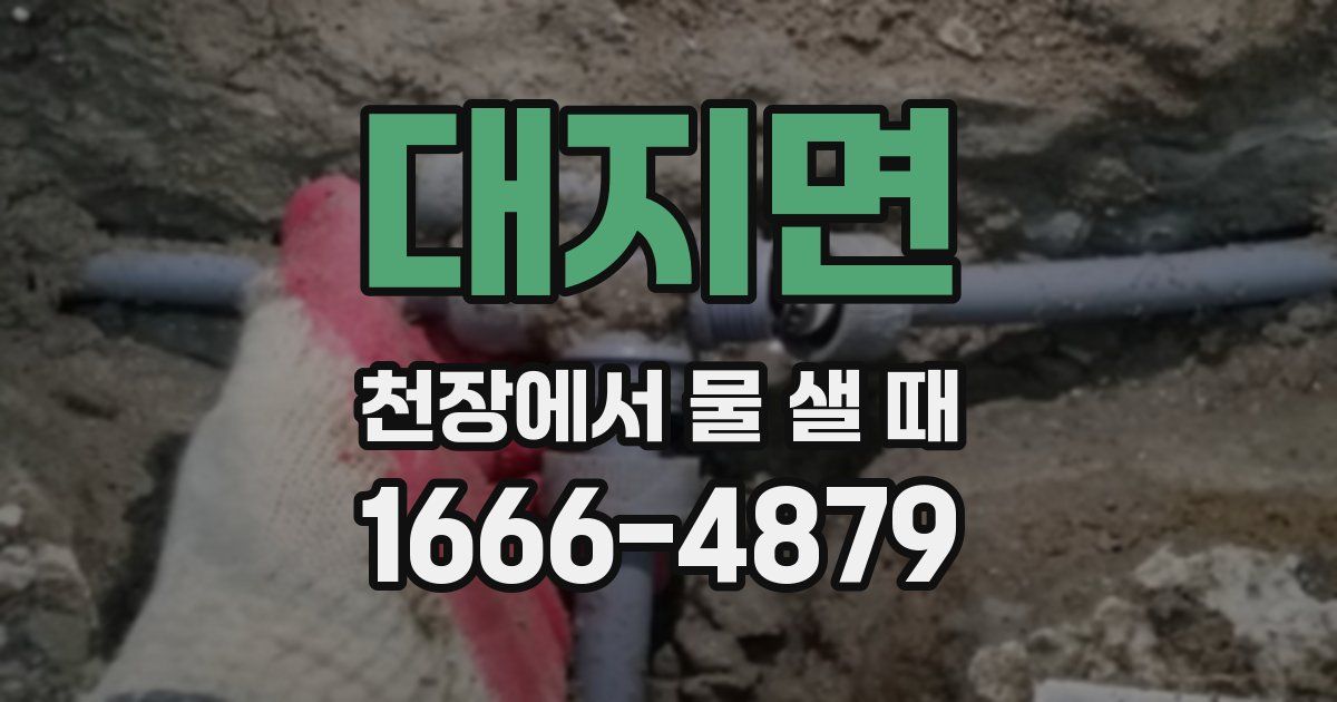 대지면 천장에서 물 샐 때