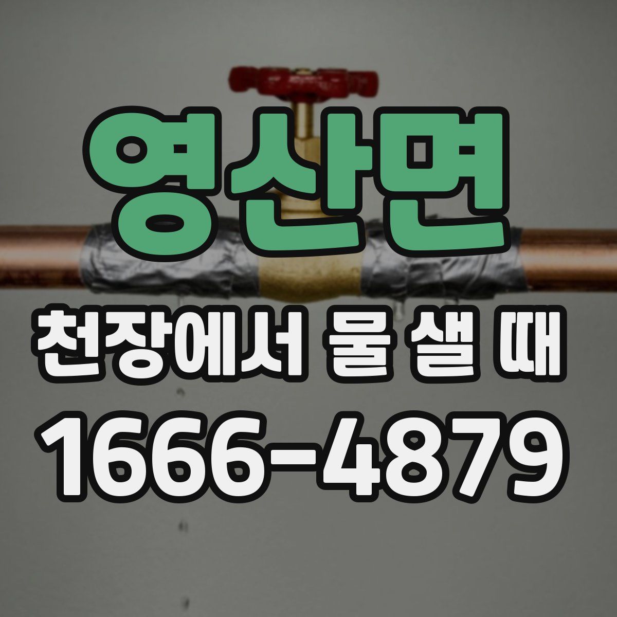 영산면 천장에서 물 샐 때