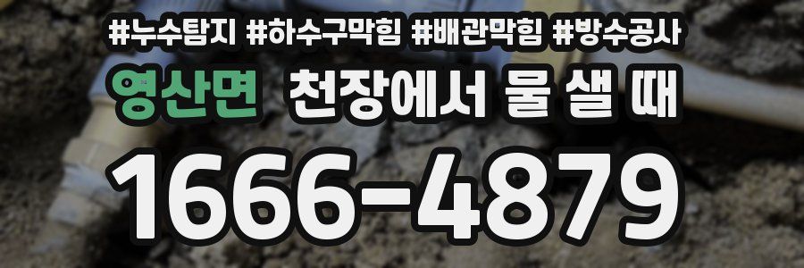 영산면 천장에서 물 샐 때