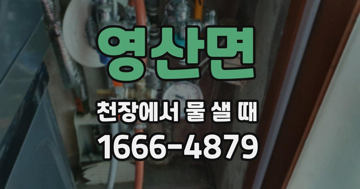 영산면 천장에서 물 샐 때