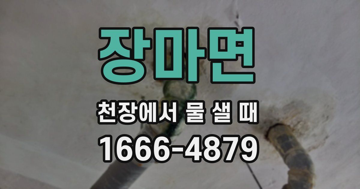 장마면 천장에서 물 샐 때