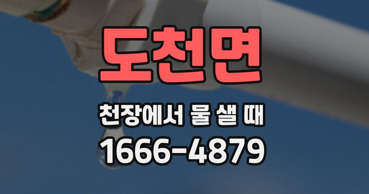 도천면 천장에서 물 샐 때