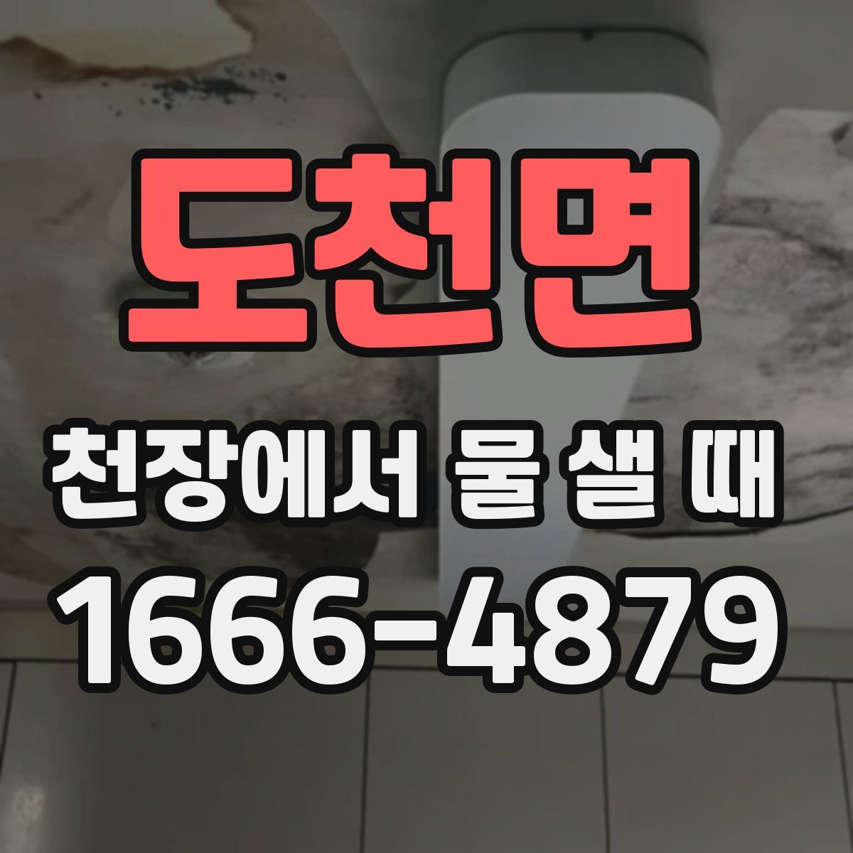 도천면 천장에서 물 샐 때
