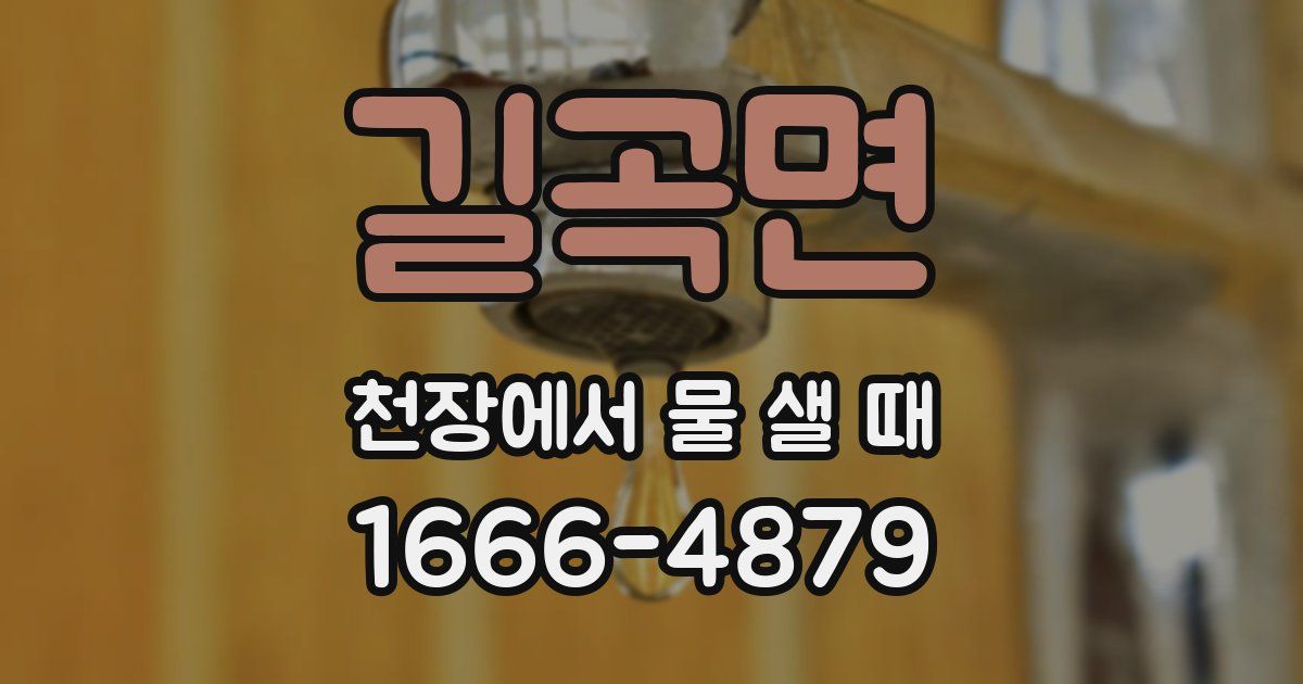 길곡면 천장에서 물 샐 때
