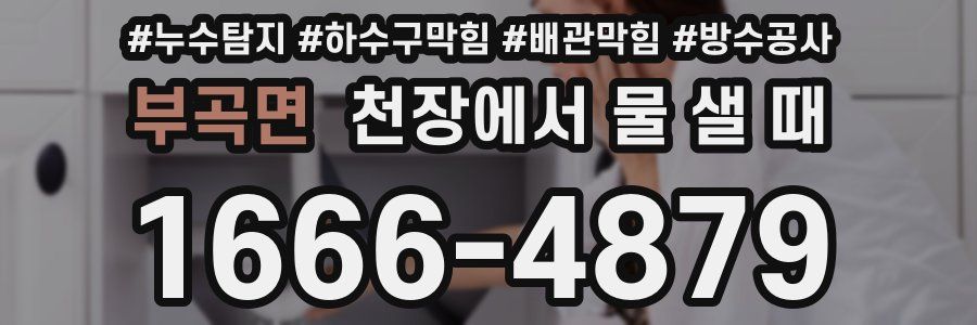 부곡면 천장에서 물 샐 때