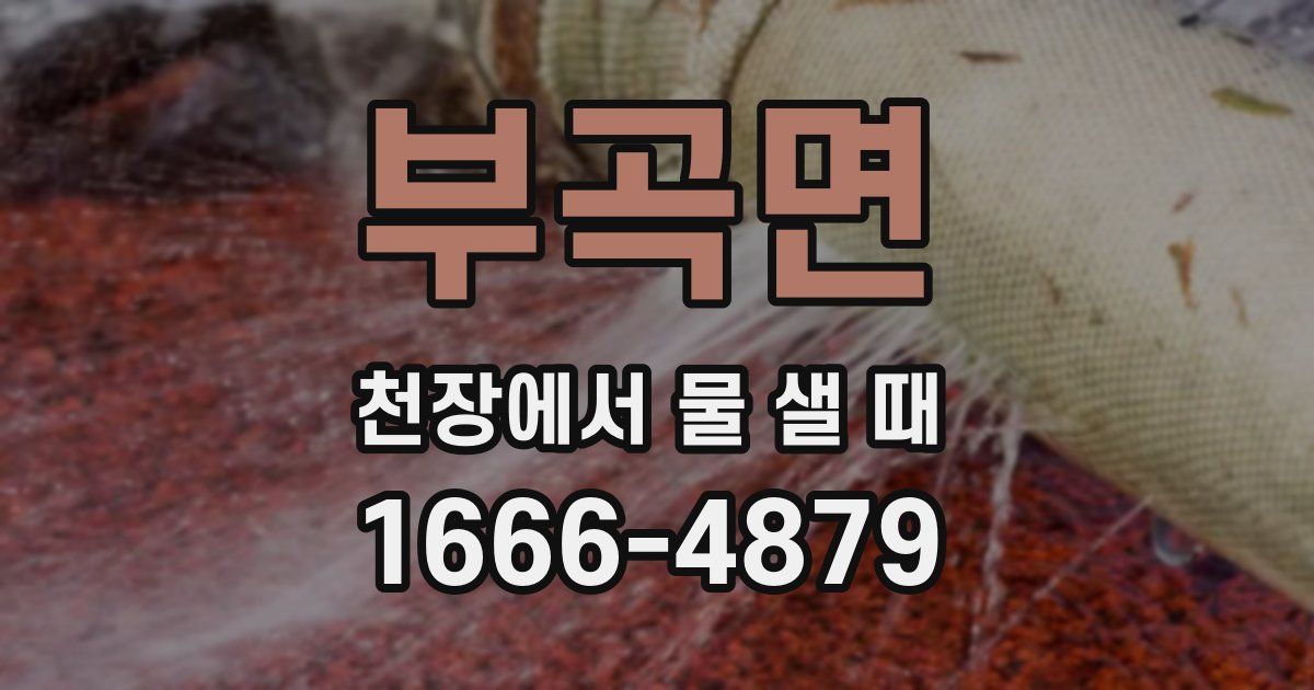 부곡면 천장에서 물 샐 때