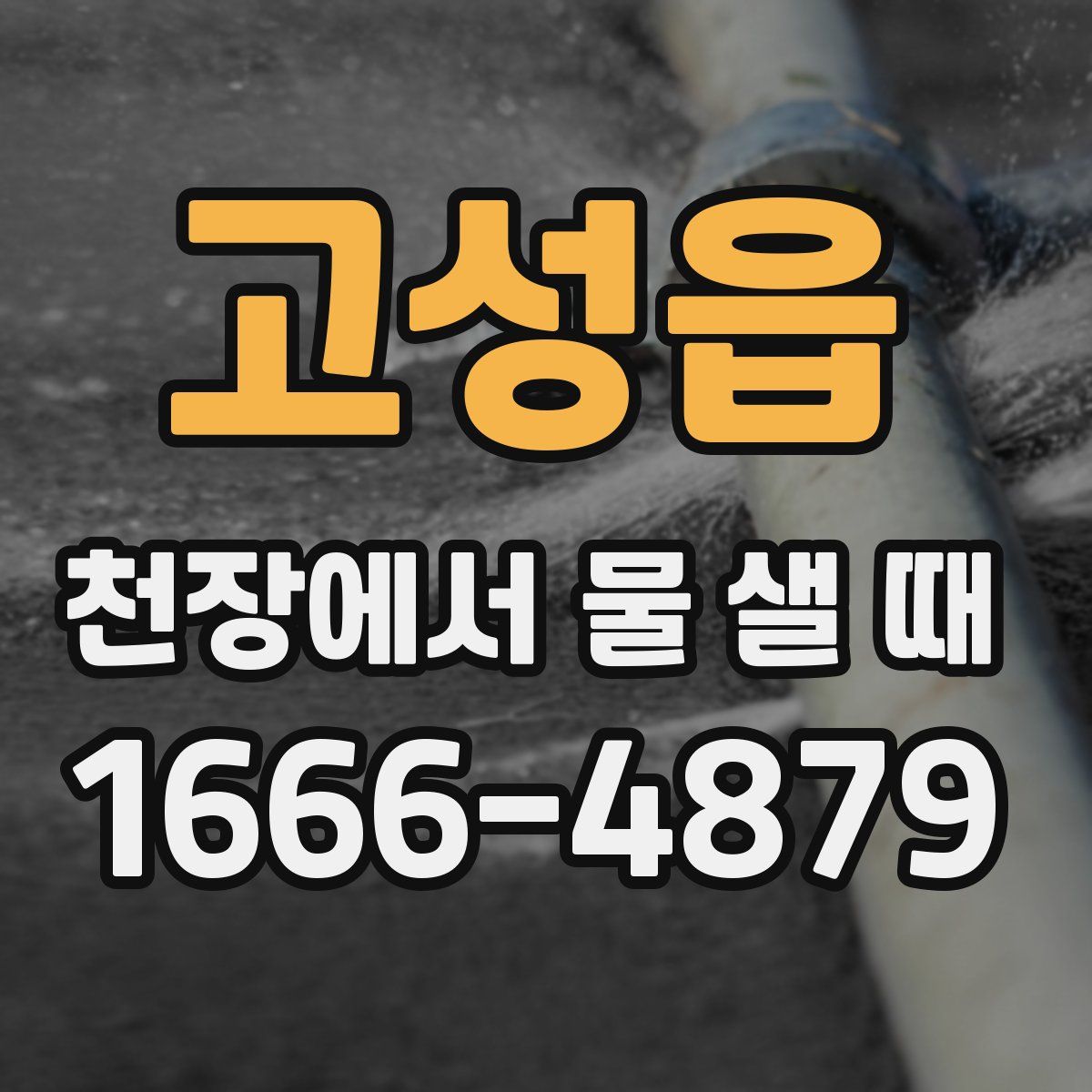 고성읍 천장에서 물 샐 때