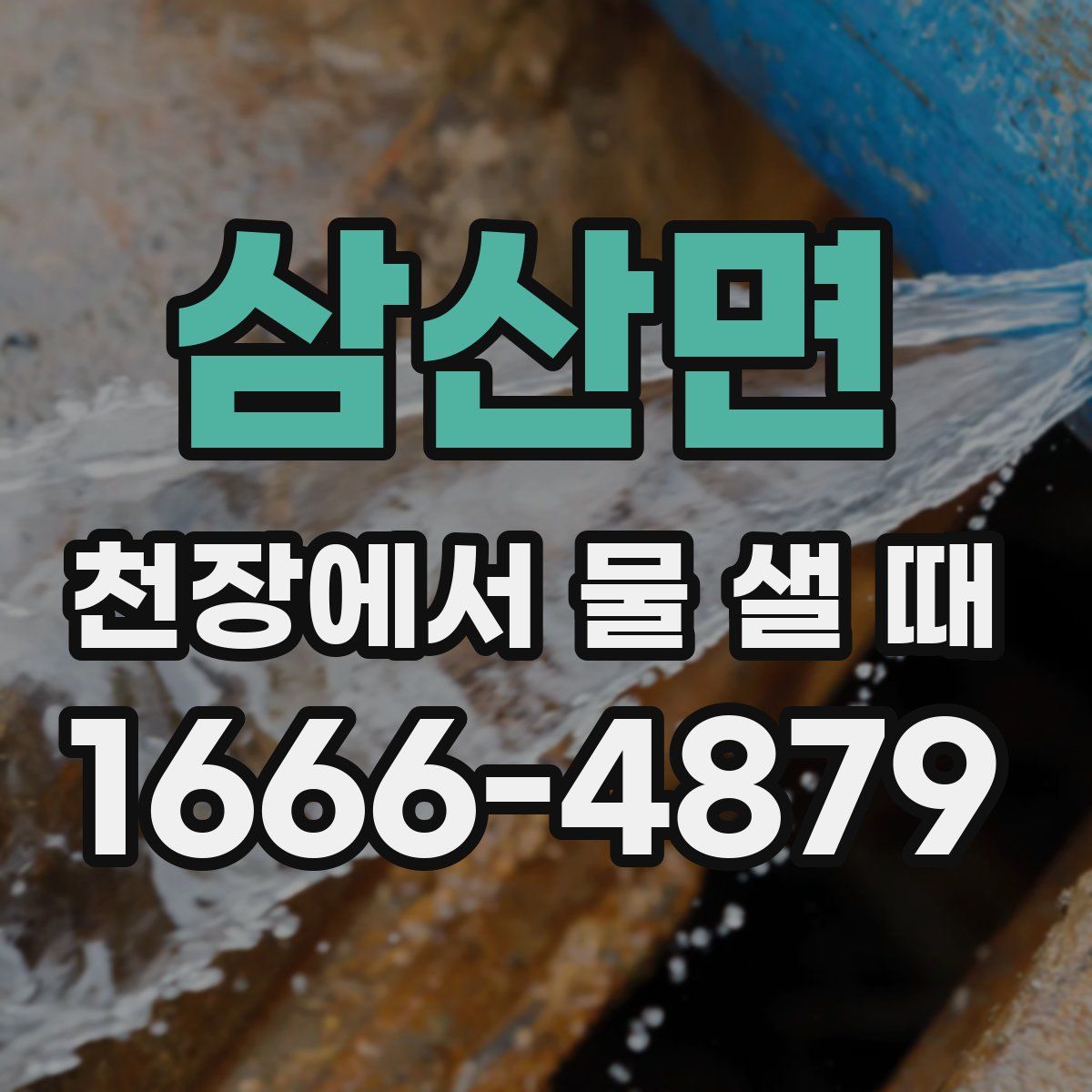 삼산면 천장에서 물 샐 때