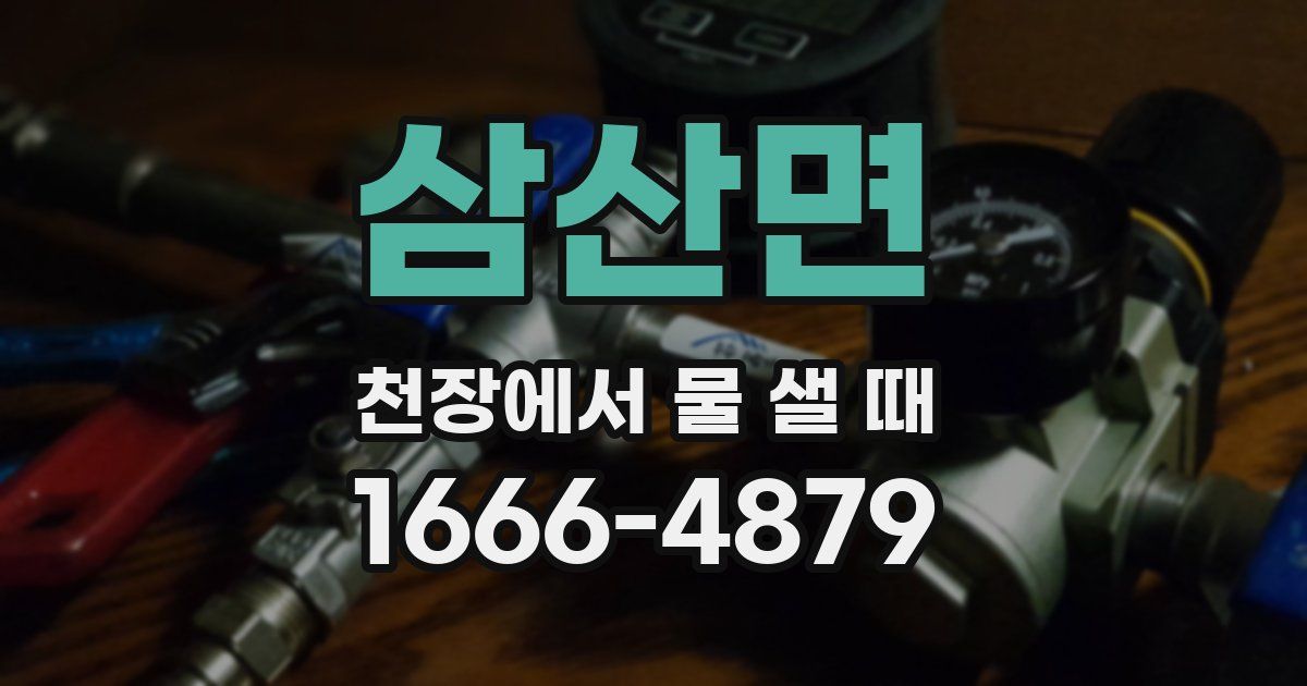 삼산면 천장에서 물 샐 때