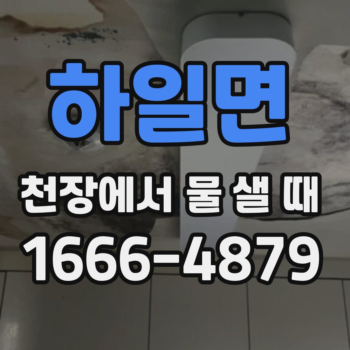 하일면 천장에서 물 샐 때