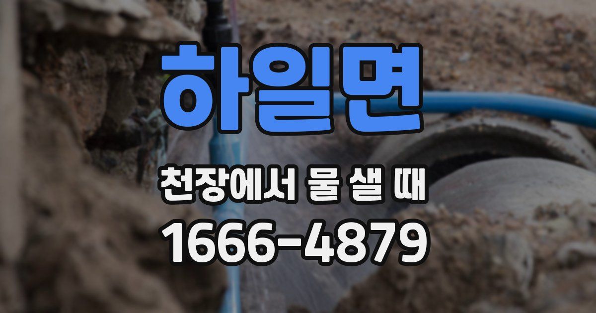하일면 천장에서 물 샐 때