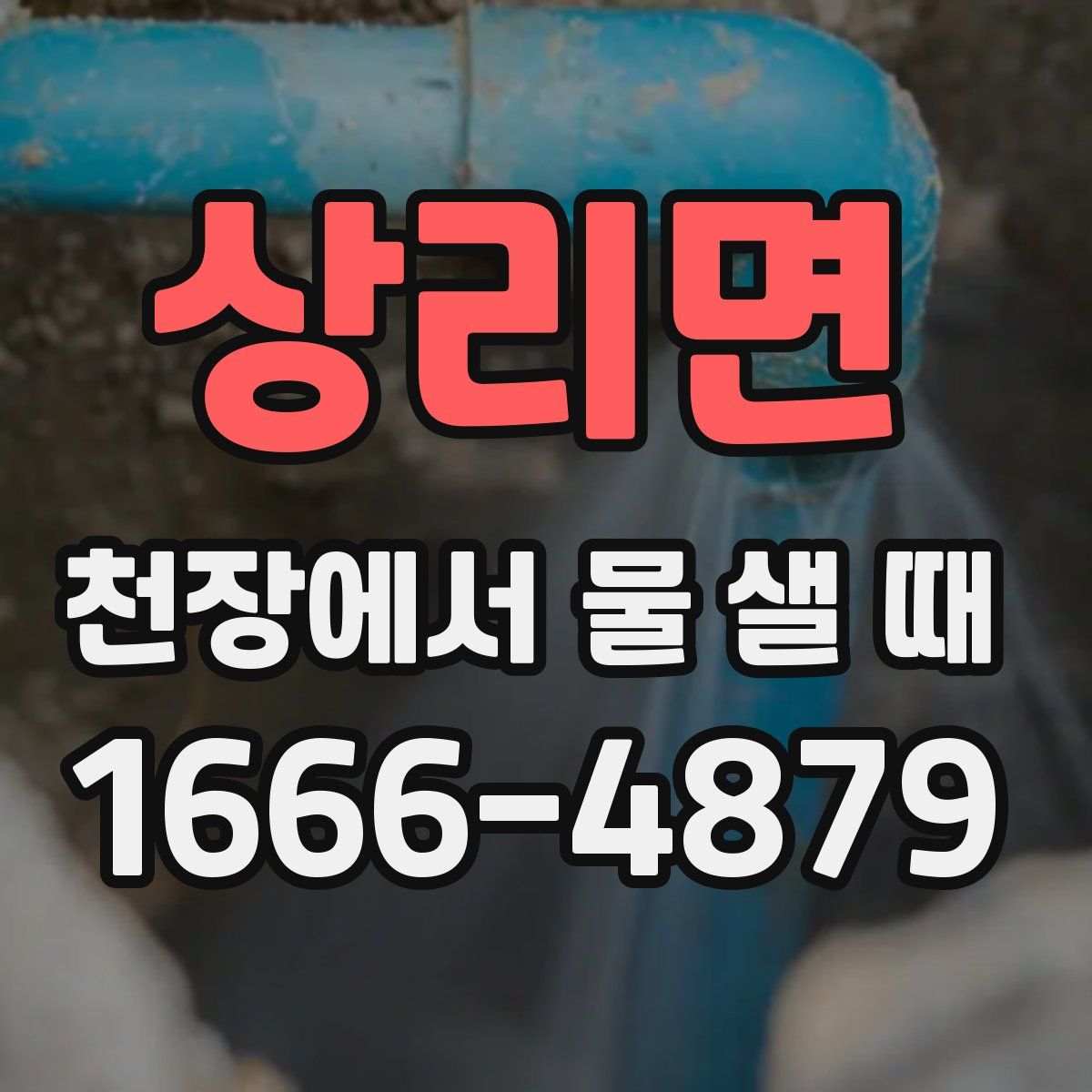 상리면 천장에서 물 샐 때