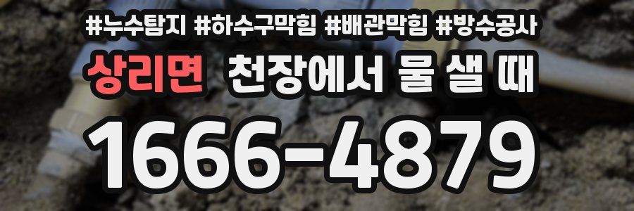 상리면 천장에서 물 샐 때