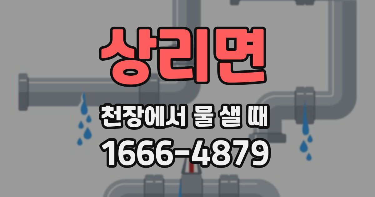 상리면 천장에서 물 샐 때