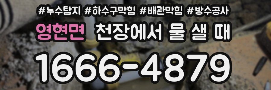 영현면 천장에서 물 샐 때