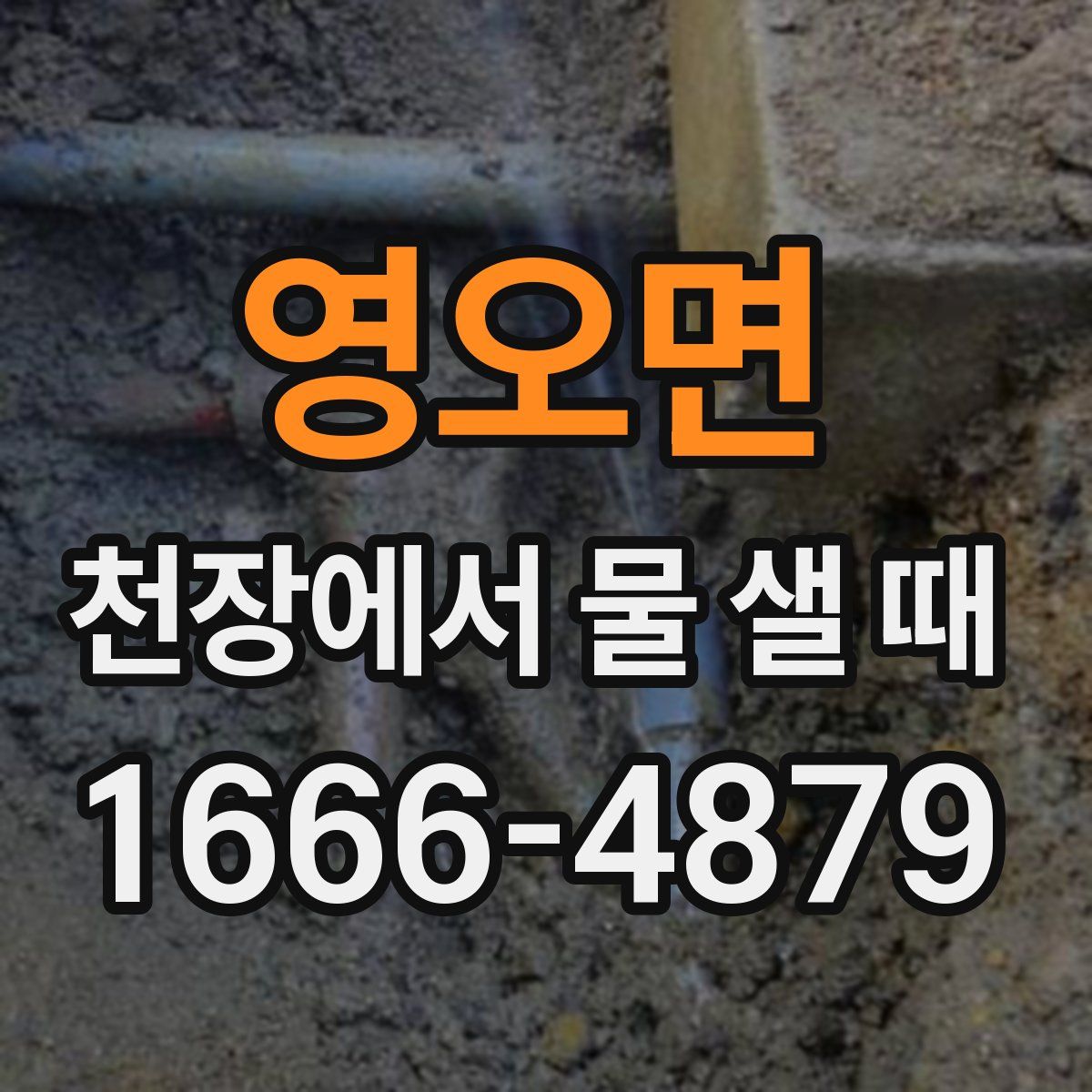 영오면 천장에서 물 샐 때