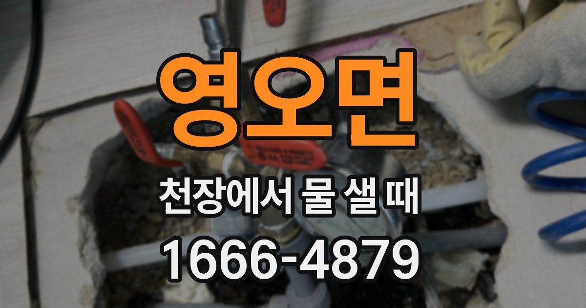 영오면 천장에서 물 샐 때