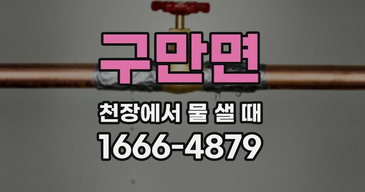 구만면 천장에서 물 샐 때