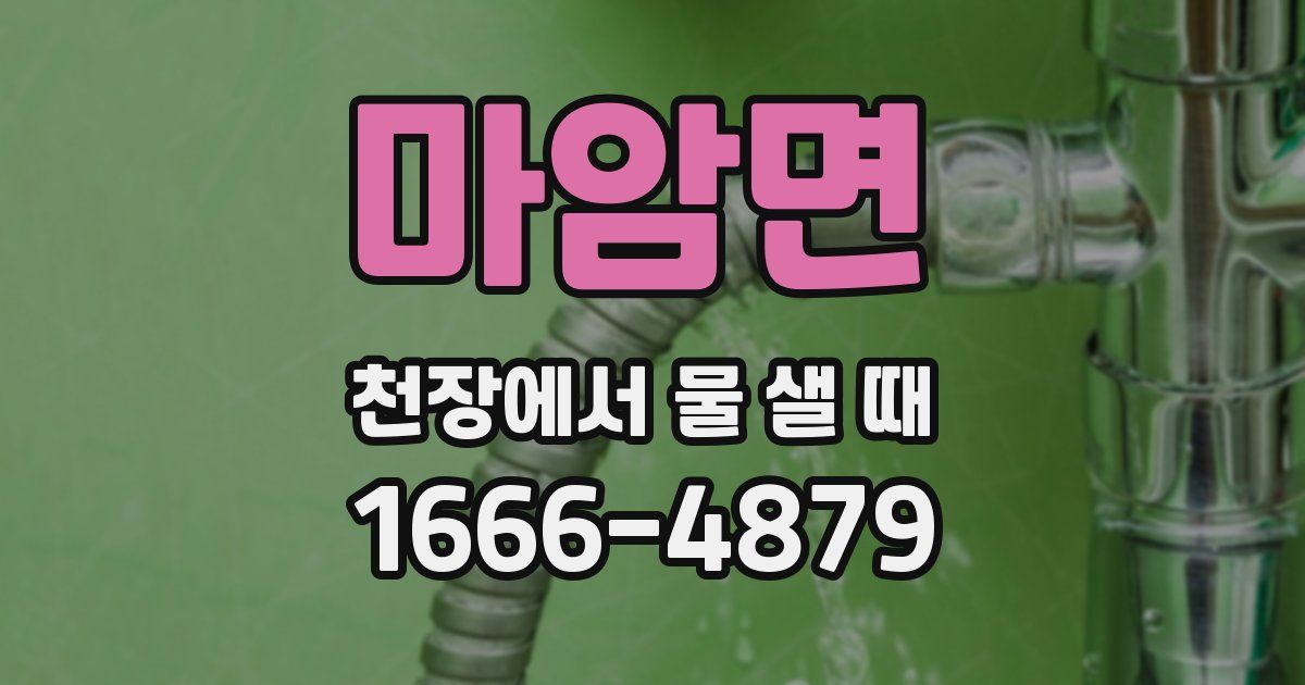 마암면 천장에서 물 샐 때
