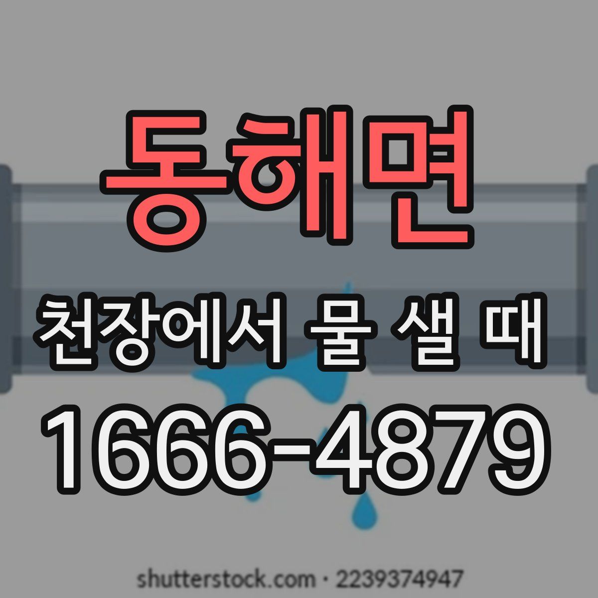 동해면 천장에서 물 샐 때