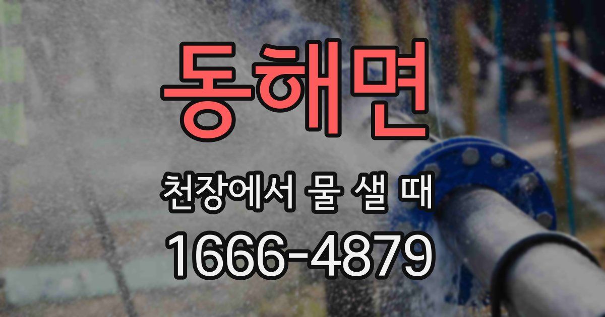 동해면 천장에서 물 샐 때